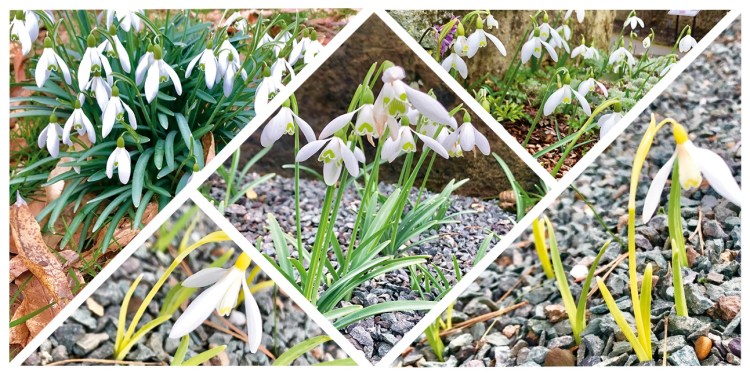 01c96ba958bd18a8796e79d95b4704432c226024f8